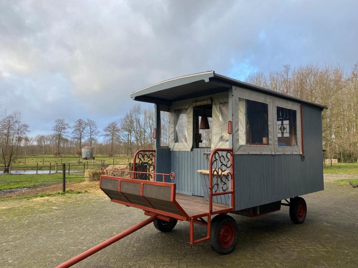 Camping de Bosrand Spier Exterior foto